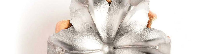 The Best Ammo for Self-Defense